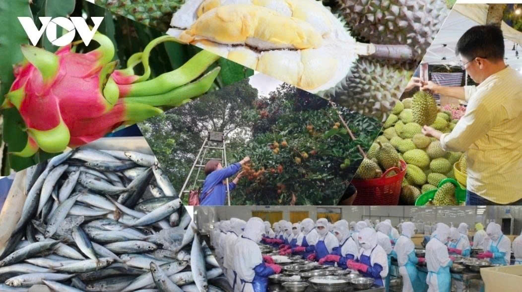 Import-export turnover rises 15% to US$391 billion by mid-June
